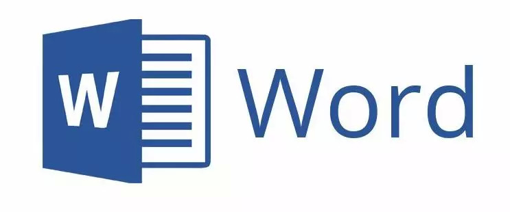 word为什么要以word命名?背后的历史和原因揭秘 第2张 word为什么要以word命名?背后的历史和原因揭秘 第2张