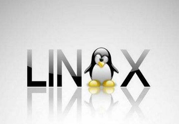 在linux如何使用QQ 第2张 在linux如何使用QQ 第2张