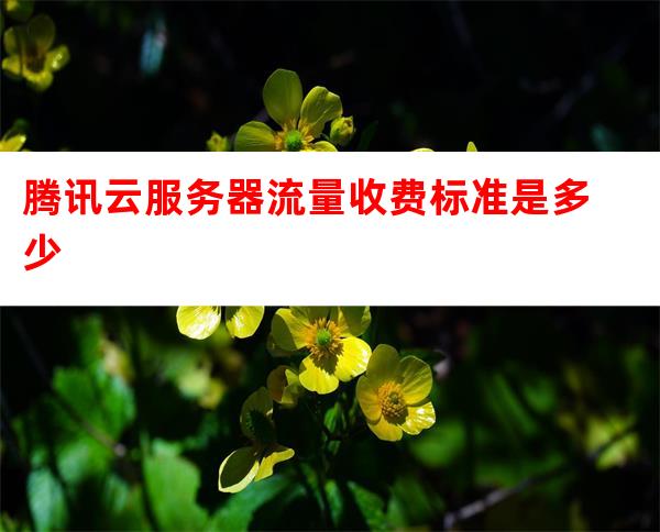 流量计费云服务器 第1张 流量计费云服务器 第1张