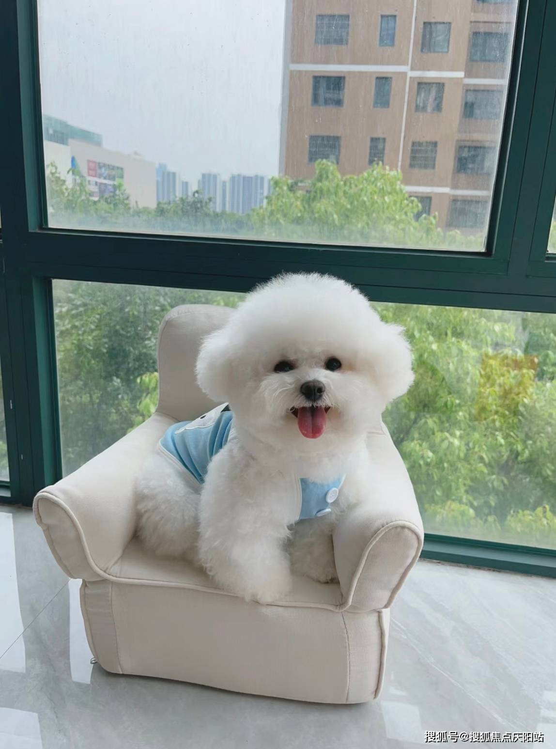 济南小程序开发纳比熊,为何在市场上如此受欢迎? 第2张 济南小程序开发纳比熊,为何在市场上如此受欢迎? 第2张