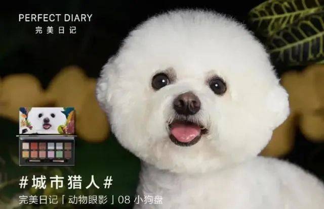 济南小程序开发纳比熊,为何在市场上如此受欢迎? 第3张 济南小程序开发纳比熊,为何在市场上如此受欢迎? 第3张