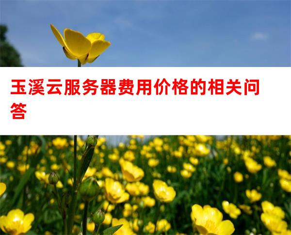 玉溪服务器租一年多少钱,哪家性能稳定价格划算? 第3张 玉溪服务器租一年多少钱,哪家性能稳定价格划算? 第3张