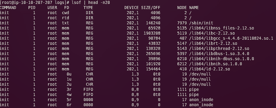 linux如何查询pid所在目录 第2张 linux如何查询pid所在目录 第2张