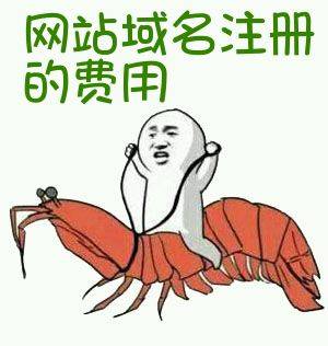网站域名使用费是否过高?揭秘域名费用背后的真相与疑问! 第3张 网站域名使用费是否过高?揭秘域名费用背后的真相与疑问! 第3张