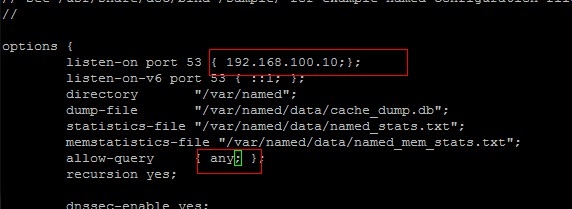 Linux下如何搭建DNS服务器? 第2张 Linux下如何搭建DNS服务器? 第2张