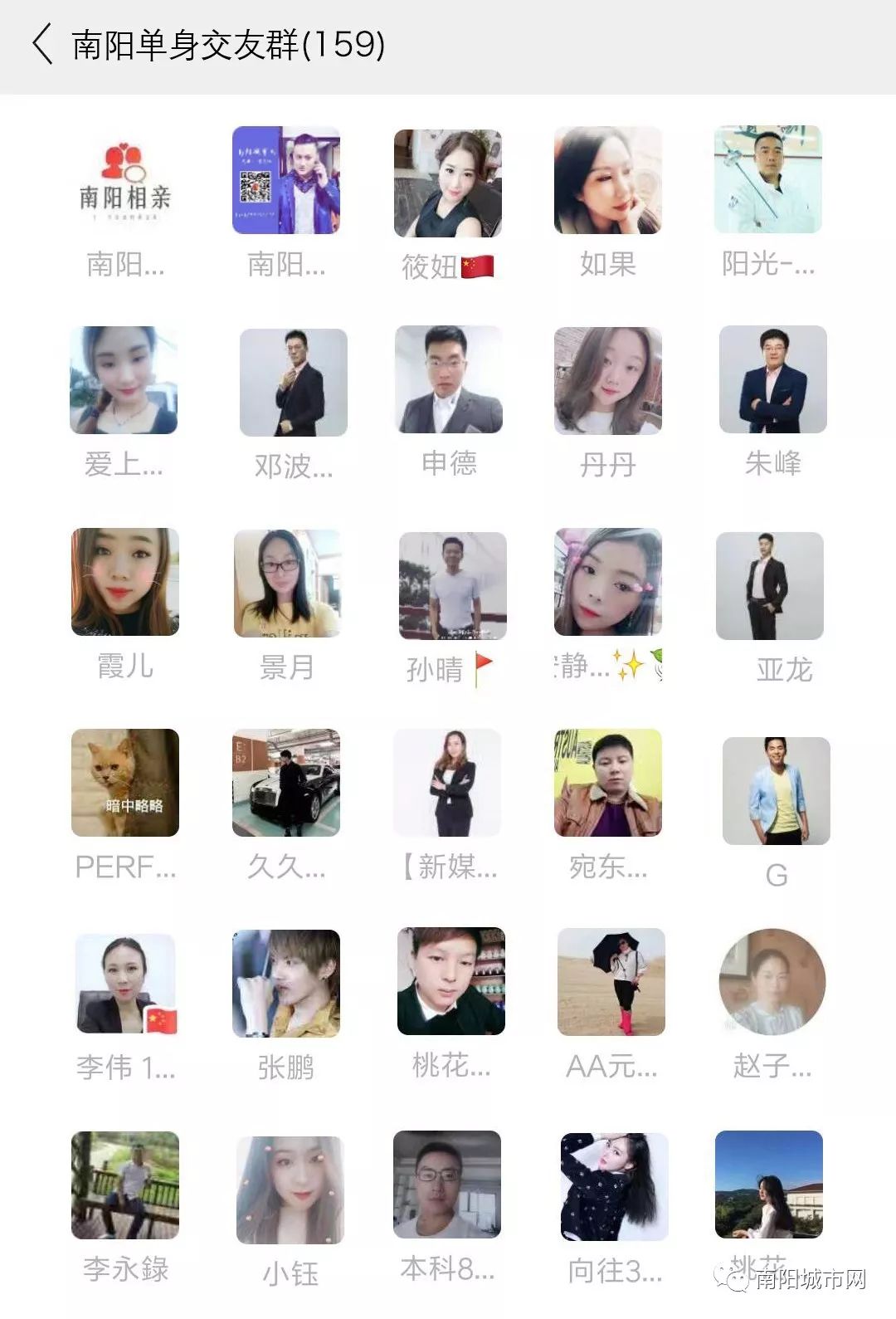 在南阳找交友网站开发公司需要多少钱? 第1张 在南阳找交友网站开发公司需要多少钱? 第1张