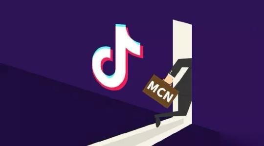 抖音域名代理哪个更靠谱?揭秘热门域名代理选择之谜! 第3张 抖音域名代理哪个更靠谱?揭秘热门域名代理选择之谜! 第3张
