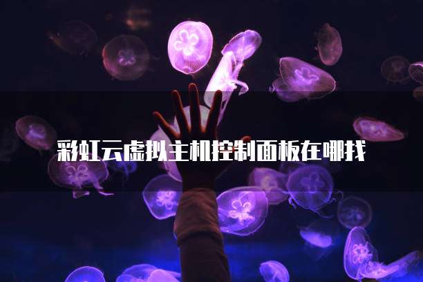 云虚拟主机进控制面板 第3张 云虚拟主机进控制面板 第3张