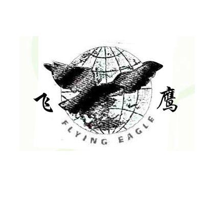飞鹰过期域名 第3张 飞鹰过期域名 第3张