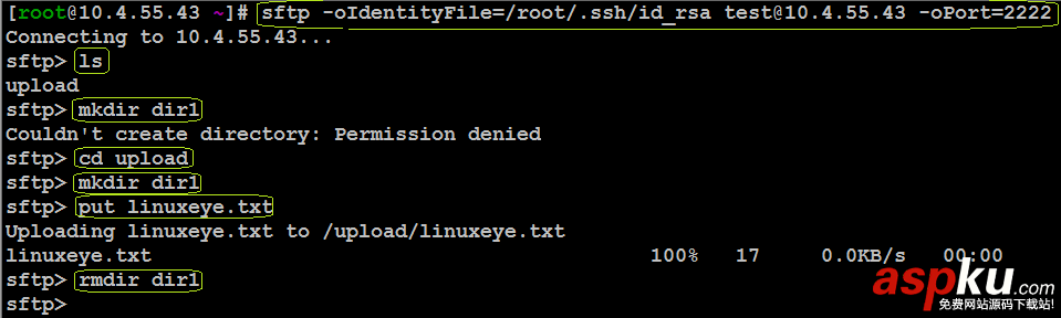 linux服务器探针 第1张 linux服务器探针 第1张