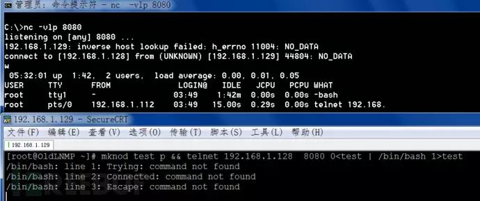 shell域名ip怎么查?查询shell域名ip的方法 第1张 shell域名ip怎么查?查询shell域名ip的方法 第1张