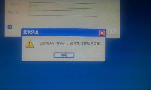 XP创建新用户后旧用户消失? 第2张 XP创建新用户后旧用户消失? 第2张
