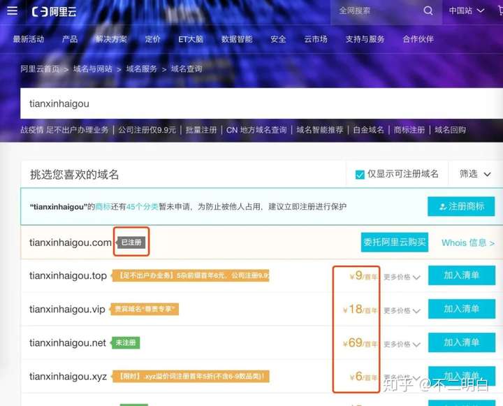域名与免费空间,究竟哪个更适合个人网站或创业项目? 第3张 域名与免费空间,究竟哪个更适合个人网站或创业项目? 第3张