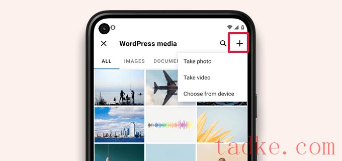 苹果手机如何快速登WordPress? 第3张 苹果手机如何快速登WordPress? 第3张