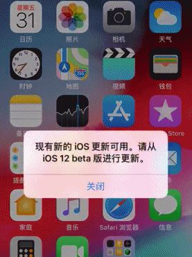 为什么iPhone 8P收不到更新提醒?怎么办 第1张 为什么iPhone 8P收不到更新提醒?怎么办 第1张