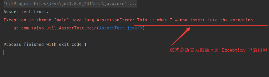 java单侧怎么加上断言 第3张 java单侧怎么加上断言 第3张