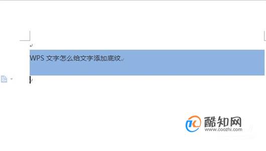 为何WPS文档中底纹仅显示整条,而非局部区域? 第1张 为何WPS文档中底纹仅显示整条,而非局部区域? 第1张