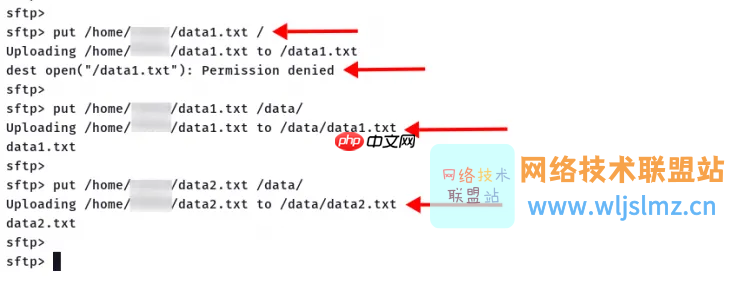 sftp 服务器 搭建 第1张 sftp 服务器 搭建 第1张