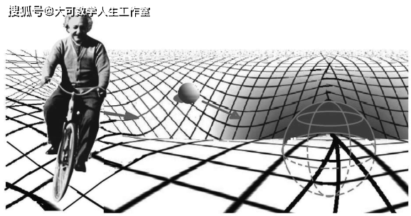 下面为何从窄变宽?背后隐藏着怎样的物理或生物规律? 第1张 下面为何从窄变宽?背后隐藏着怎样的物理或生物规律? 第1张
