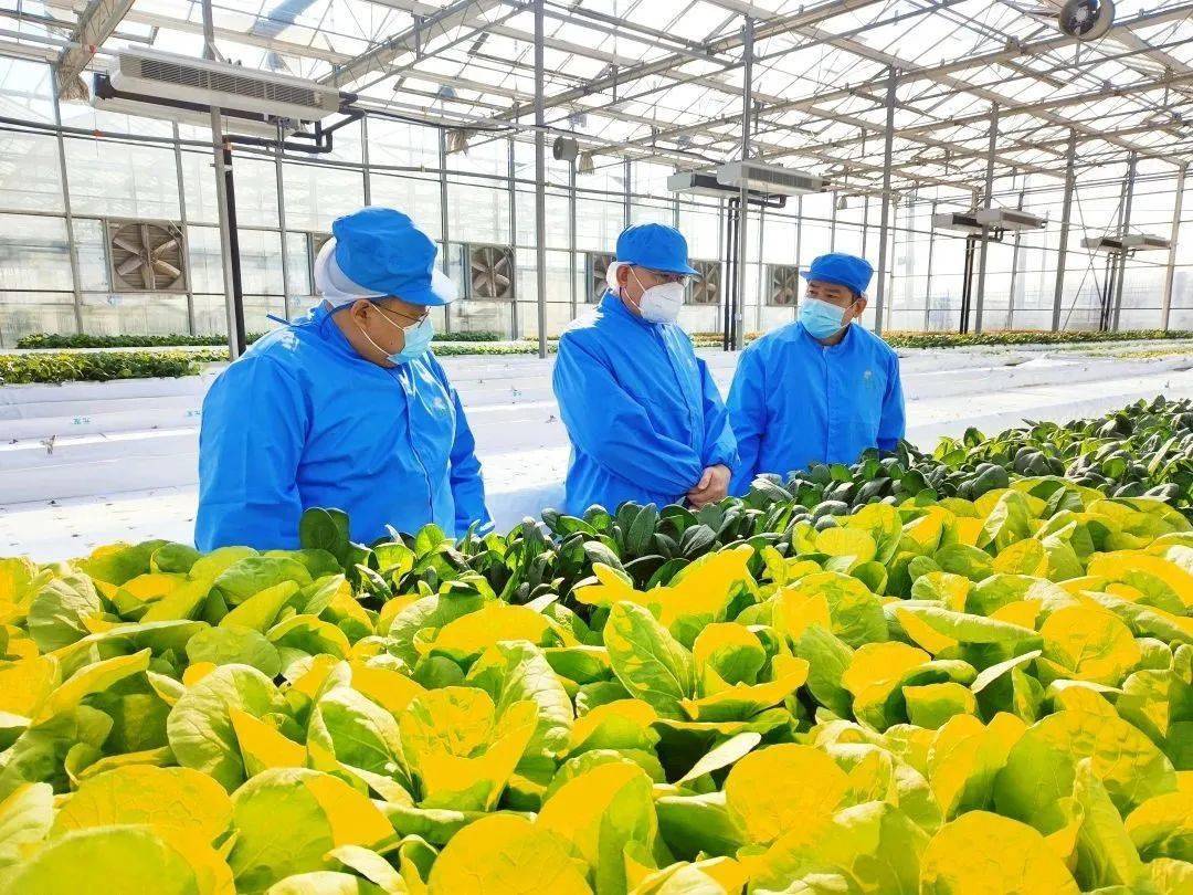 梦源农业开发有限公司,揭秘其背后的农业创新与可持续发展之谜? 第3张 梦源农业开发有限公司,揭秘其背后的农业创新与可持续发展之谜? 第3张