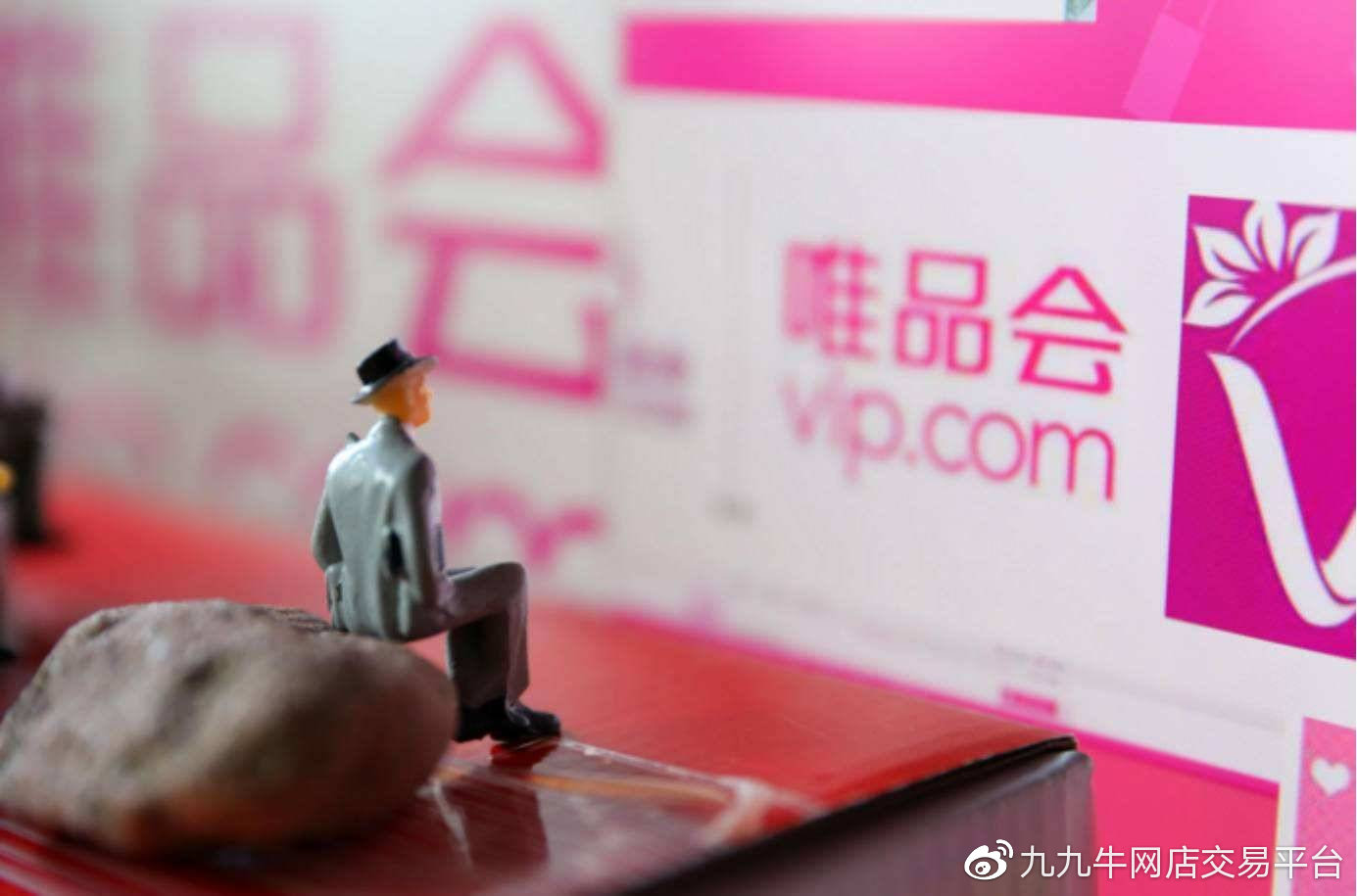 唯品会网络域名究竟是什么?为何如此神秘? 第2张 唯品会网络域名究竟是什么?为何如此神秘? 第2张