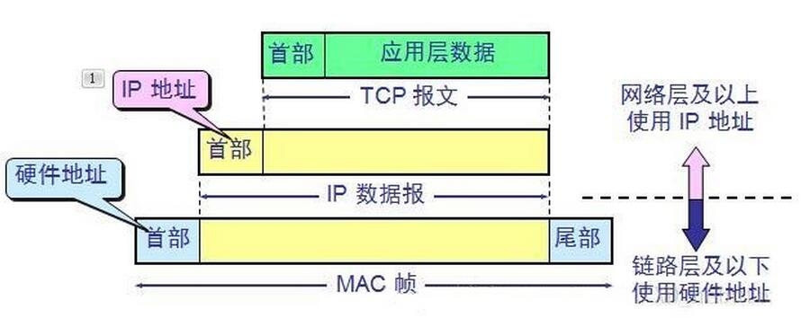 域名地址究竟在互联网哪一层级发挥着关键作用?揭秘其技术层次与影响。 第2张 域名地址究竟在互联网哪一层级发挥着关键作用?揭秘其技术层次与影响。 第2张