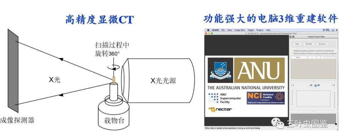 扫描C段为何如此关键?探究其背后的原因与重要性 第3张 扫描C段为何如此关键?探究其背后的原因与重要性 第3张