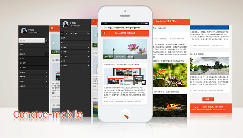 WordPress手机主题开发教程 第1张 WordPress手机主题开发教程 第1张