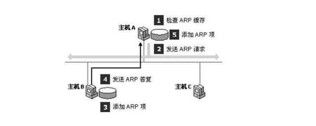 arp协议在什么类型网络中发挥关键作用?深入探讨其应用与影响。 第3张 arp协议在什么类型网络中发挥关键作用?深入探讨其应用与影响。 第3张