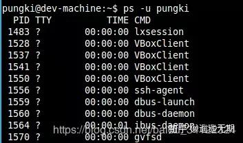 服务器进程怎么看?Linux查看进程命令详解 第2张 服务器进程怎么看?Linux查看进程命令详解 第2张