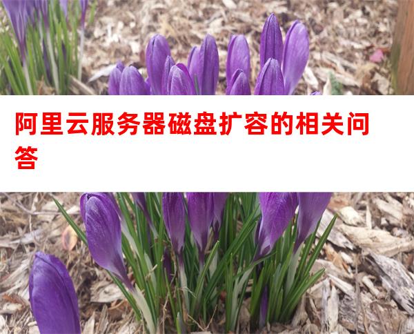 阿里云服务器增加磁盘 第3张 阿里云服务器增加磁盘 第3张