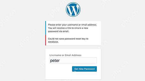 WordPress忘记密码?快速重置教程 第2张 WordPress忘记密码?快速重置教程 第2张