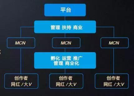 独立域名与抖音账号,究竟哪一种更适合个人品牌建设? 第3张 独立域名与抖音账号,究竟哪一种更适合个人品牌建设? 第3张