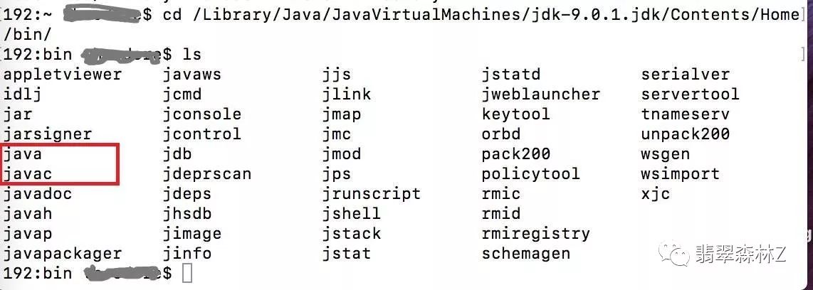 Java编程初学者，Java第一个程序从何下手编写？