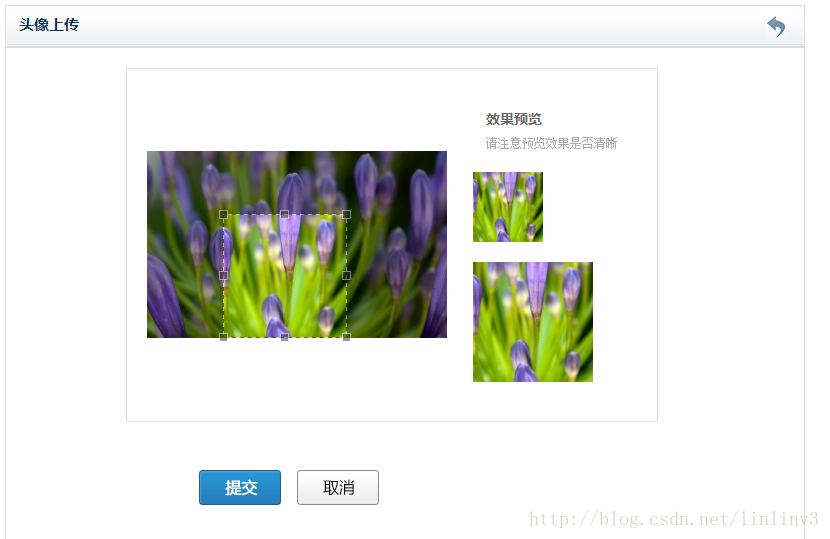 Java中如何高效选择并裁剪图片?详细步骤与代码实例分享? 第2张 Java中如何高效选择并裁剪图片?详细步骤与代码实例分享? 第2张