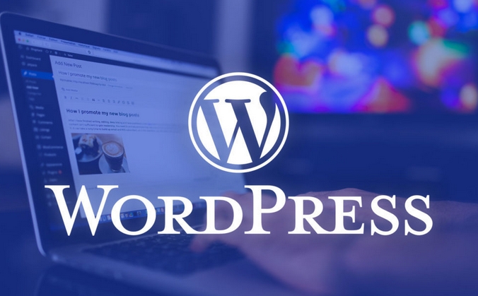 如何用WordPress做外贸?效果怎么样? 第2张 如何用WordPress做外贸?效果怎么样? 第2张