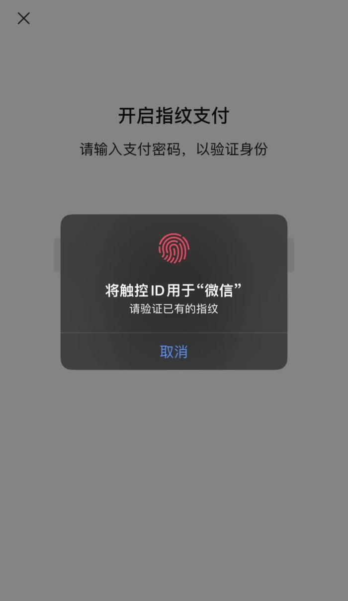 iPhone8P微信为何无法开通指纹支付? 第1张 iPhone8P微信为何无法开通指纹支付? 第1张