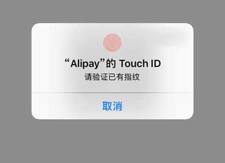 iPhone8P微信为何无法开通指纹支付? 第3张 iPhone8P微信为何无法开通指纹支付? 第3张