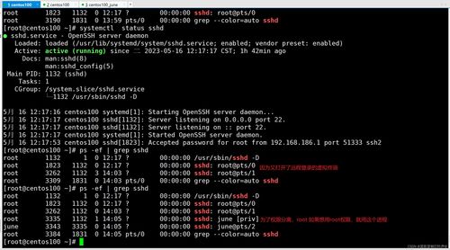 linux 如何杀进城 第2张 linux 如何杀进城 第2张
