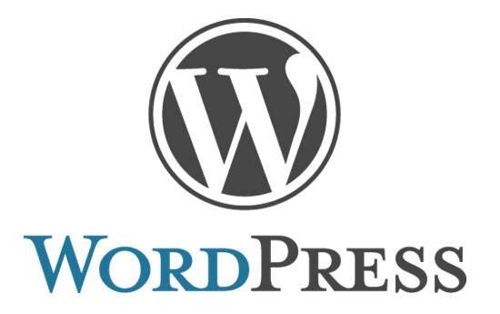 WordPress建站日期计数轻松设置教程 第2张 WordPress建站日期计数轻松设置教程 第2张