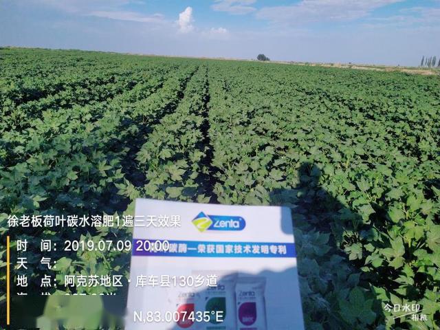 服务器新疆为何成为关键节点?其背后有何战略意义? 第1张 服务器新疆为何成为关键节点?其背后有何战略意义? 第1张