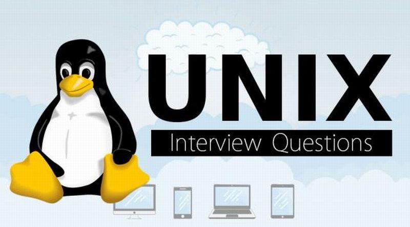GNULinux究竟有何区别?为何备受关注? 第1张 GNULinux究竟有何区别?为何备受关注? 第1张