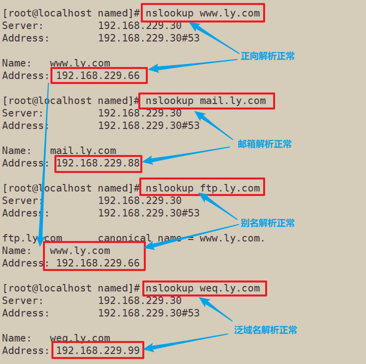 反向解析域名是什么？如何进行反向解析域名查询？