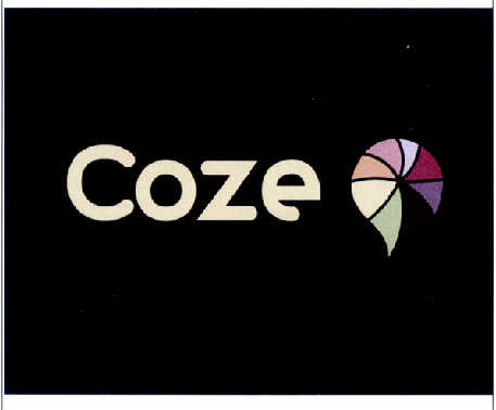 coza域名究竟属于哪个国家的网络标识?揭秘coza背后的国家归属 第3张 coza域名究竟属于哪个国家的网络标识?揭秘coza背后的国家归属 第3张