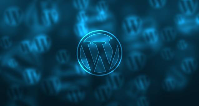WordPress打不开?紧急解决教程 第1张 WordPress打不开?紧急解决教程 第1张