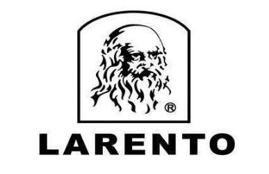 luestone商标究竟有何独特之处,为何备受关注? 第1张 luestone商标究竟有何独特之处,为何备受关注? 第1张
