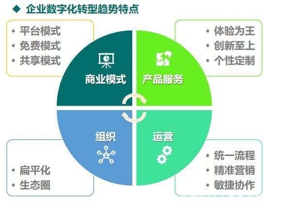 云服务器扶持政策下,企业如何抓住机遇实现数字化转型? 第1张 云服务器扶持政策下,企业如何抓住机遇实现数字化转型? 第1张