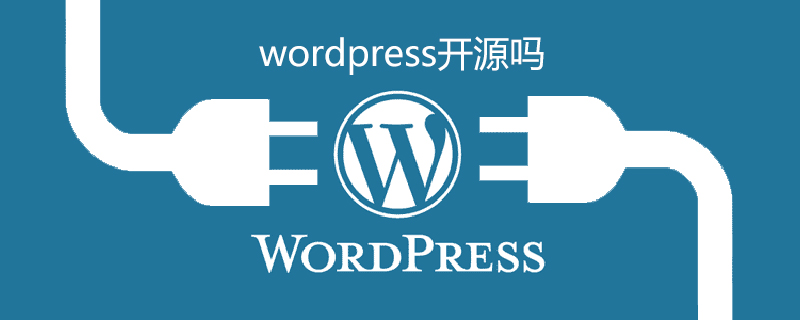 如何实现WordPress二次开发实战技巧 第1张 如何实现WordPress二次开发实战技巧 第1张
