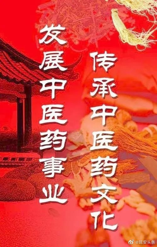 汉医商标之争,传统与现代的碰撞,如何平衡民族品牌保护与市场发展? 第3张 汉医商标之争,传统与现代的碰撞,如何平衡民族品牌保护与市场发展? 第3张