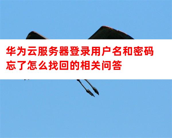 云服务器密码忘了 第3张 云服务器密码忘了 第3张